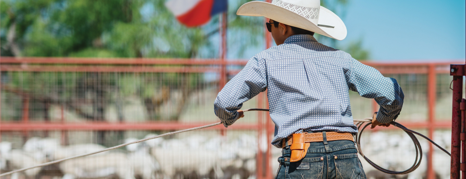 boy working animals in pen